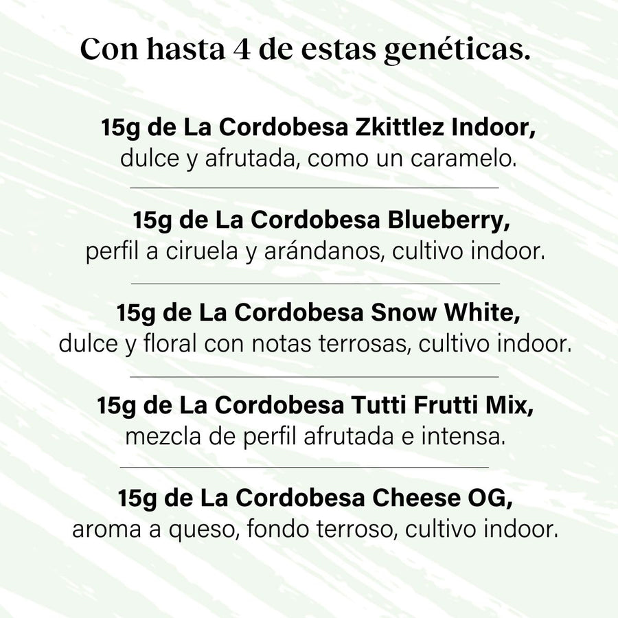 Pack 60g Cogollos Pequeños Pruébalo Todo - Genéticas Variadas