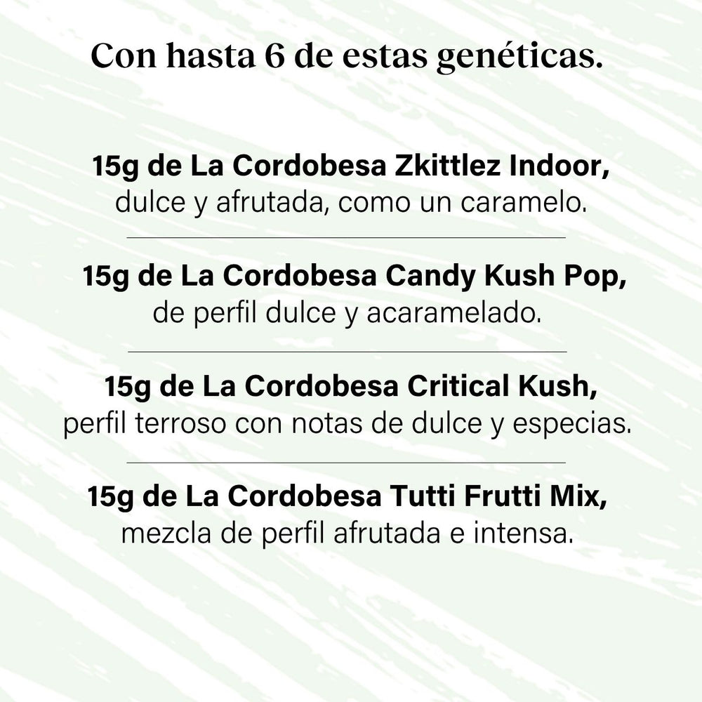 Pack 90g Cogollos Pequeños Genéticas Variadas - Pruébalo Todo Plus