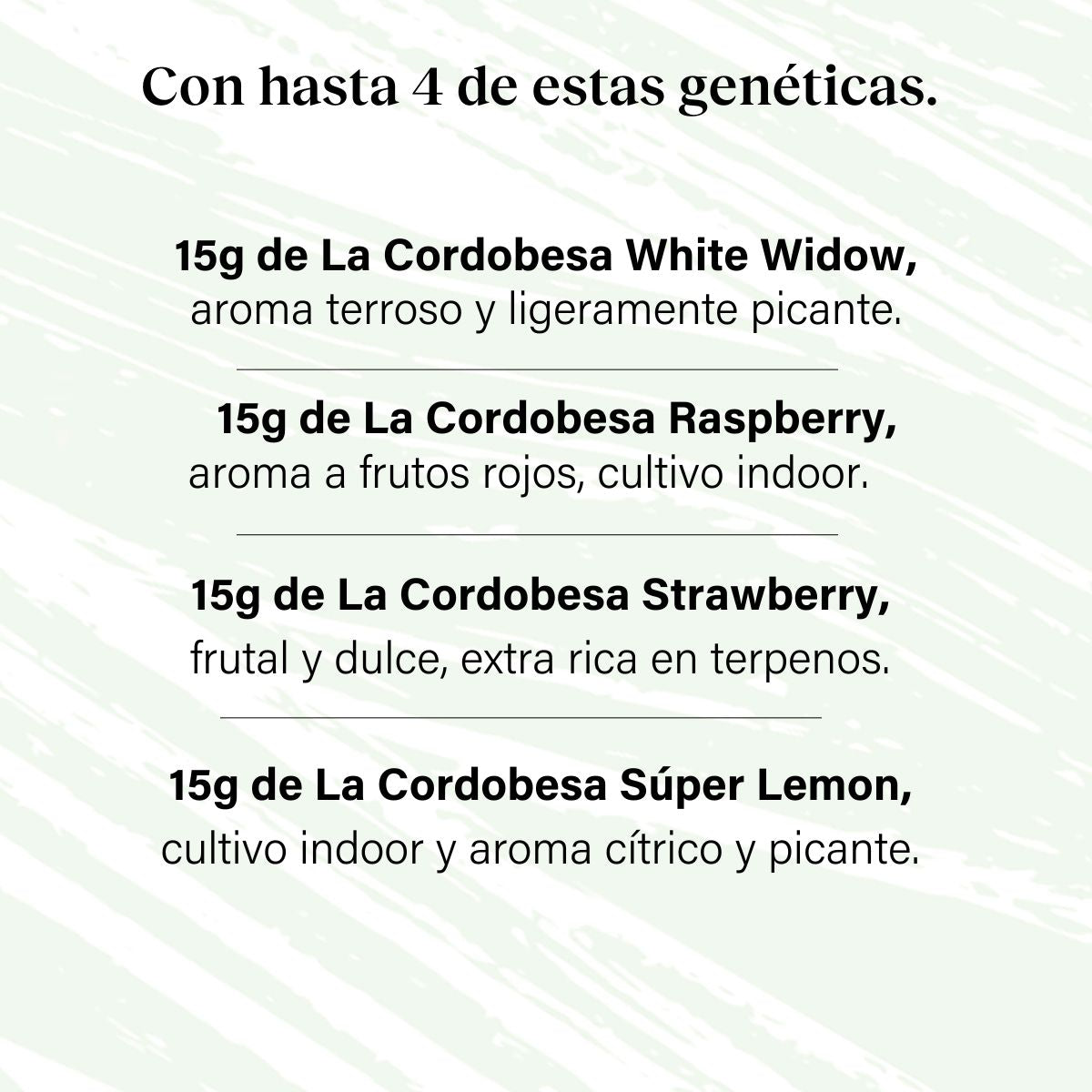 Pack 60g Cogollos Pequeños Pruébalo Todo - Genéticas Variadas