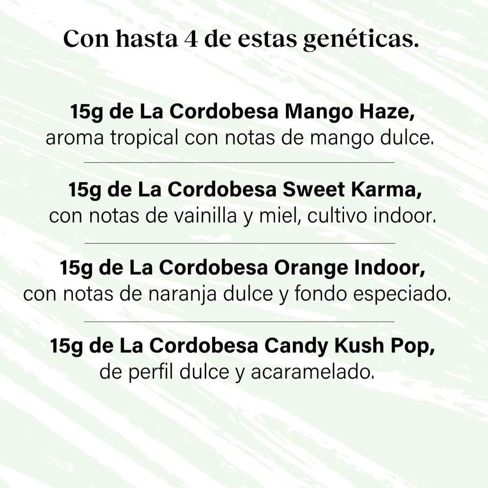 Pack 60g Cogollos Pequeños Pruébalo Todo - Genéticas Variadas