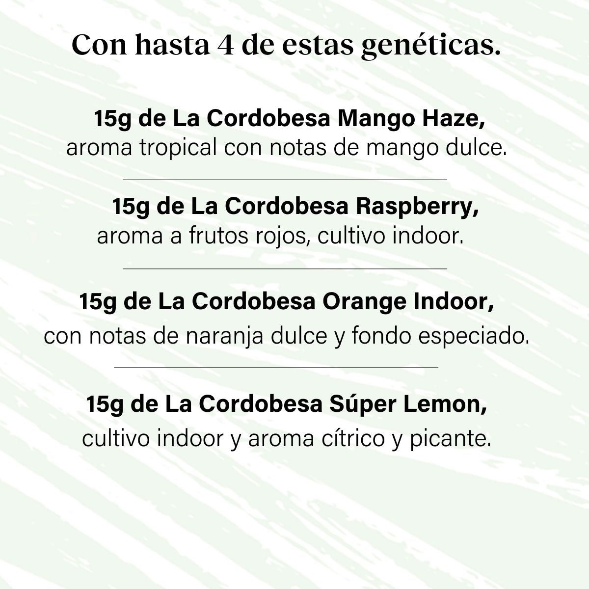 Pack 60g Small Buds Try It All - Varied Genetics