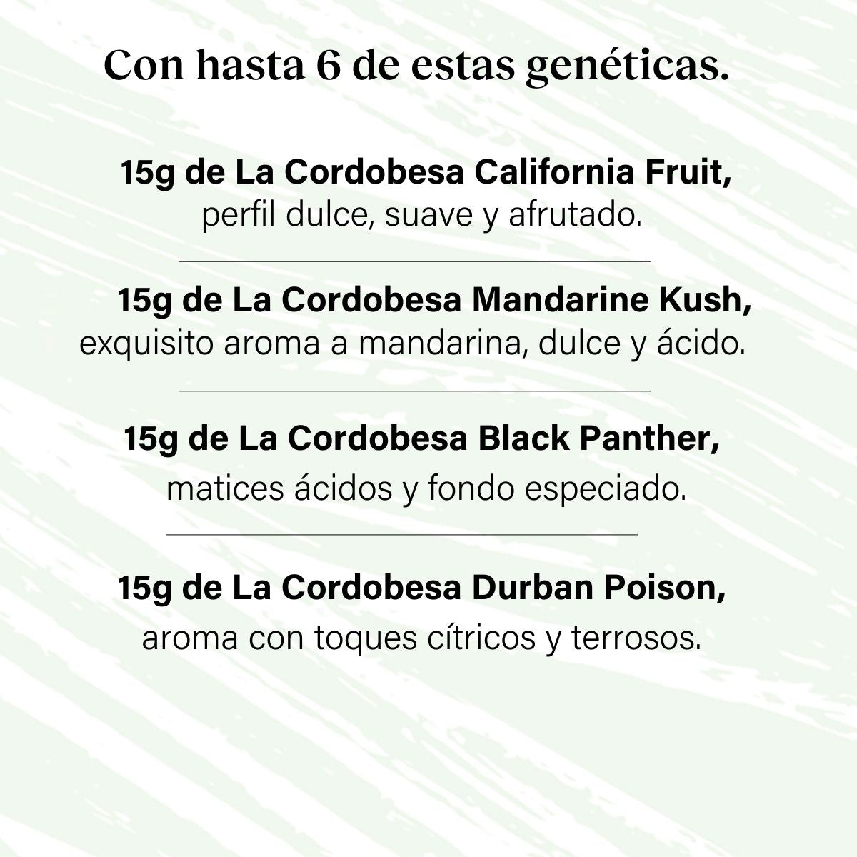 Packung 90g Small Buds Variety Genetics - Taste Everything Plus