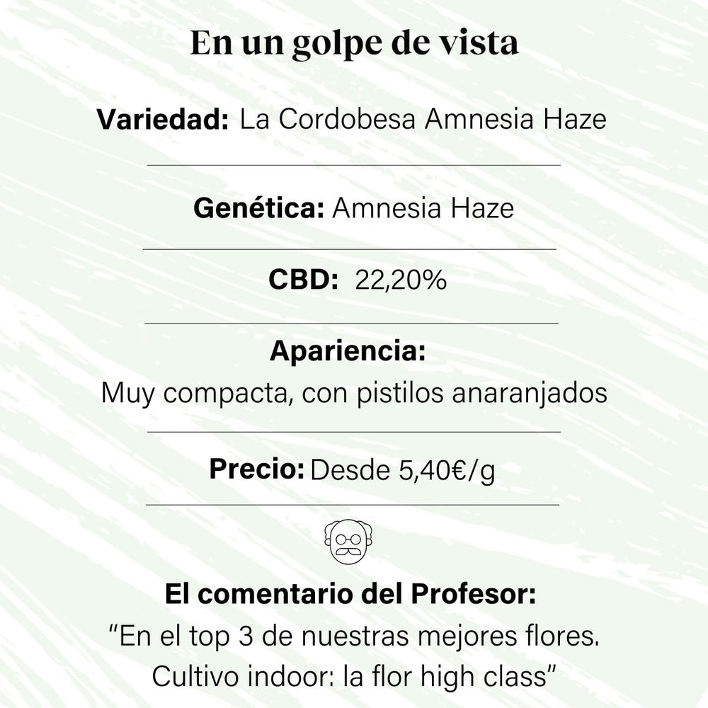 Flor em botão aromático CBD interno a 22,20% · La Cordobesa Amnesia Haze ·