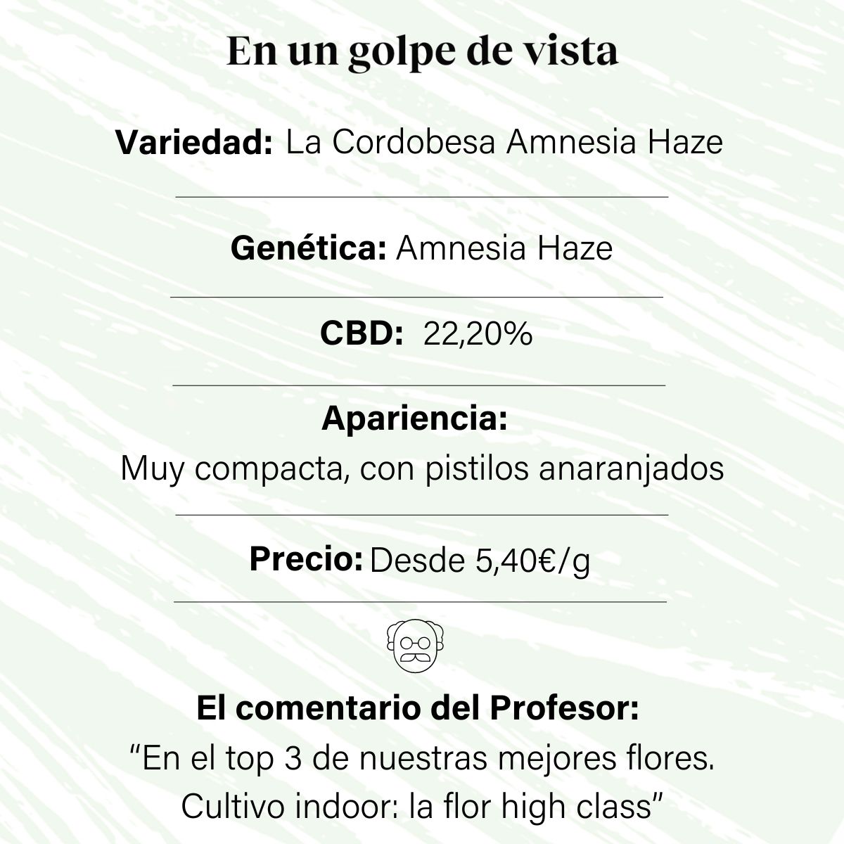 Indoor CBD Aromatische Blüte 22,20% La Cordobesa Amnesia Haze -