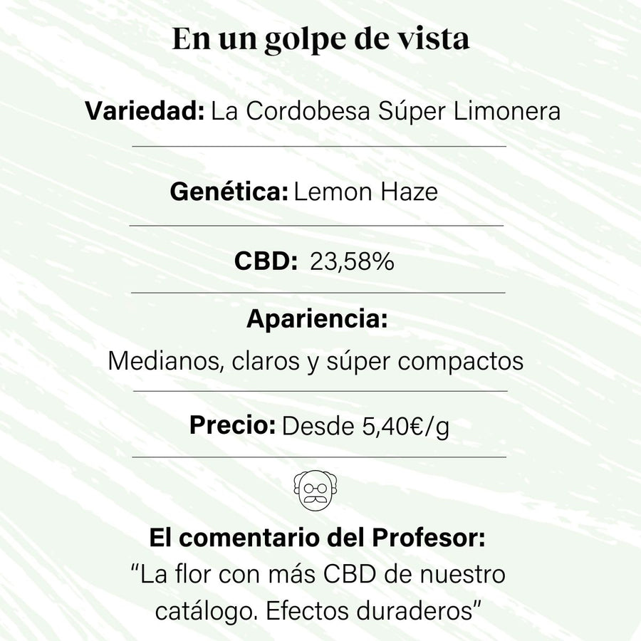 Botão de flor aromático CBD interno a 23,58% · La Cordobesa Súper Limonera (Lemon Haze)