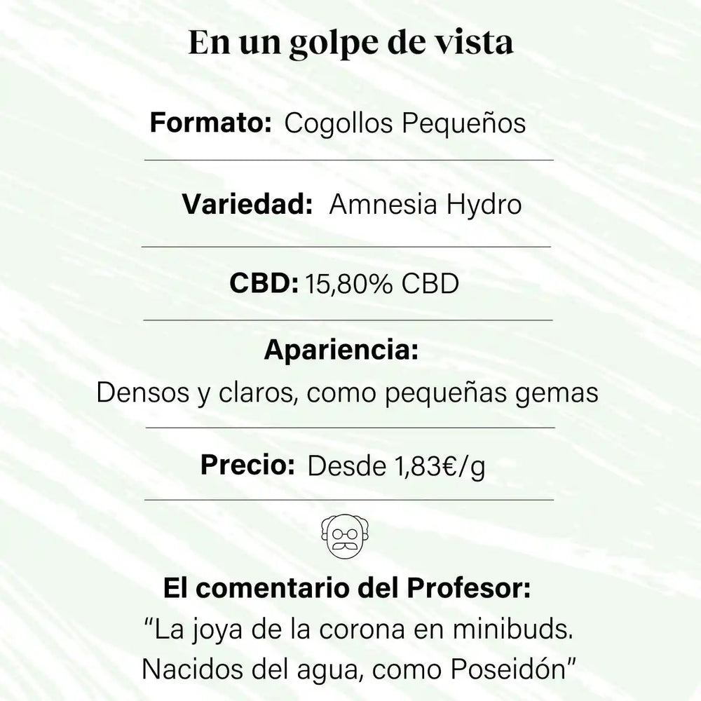 Pequenos botões de flor aromática com 15,80% de CBD - La Cordobesa Amnesia Hydroponic