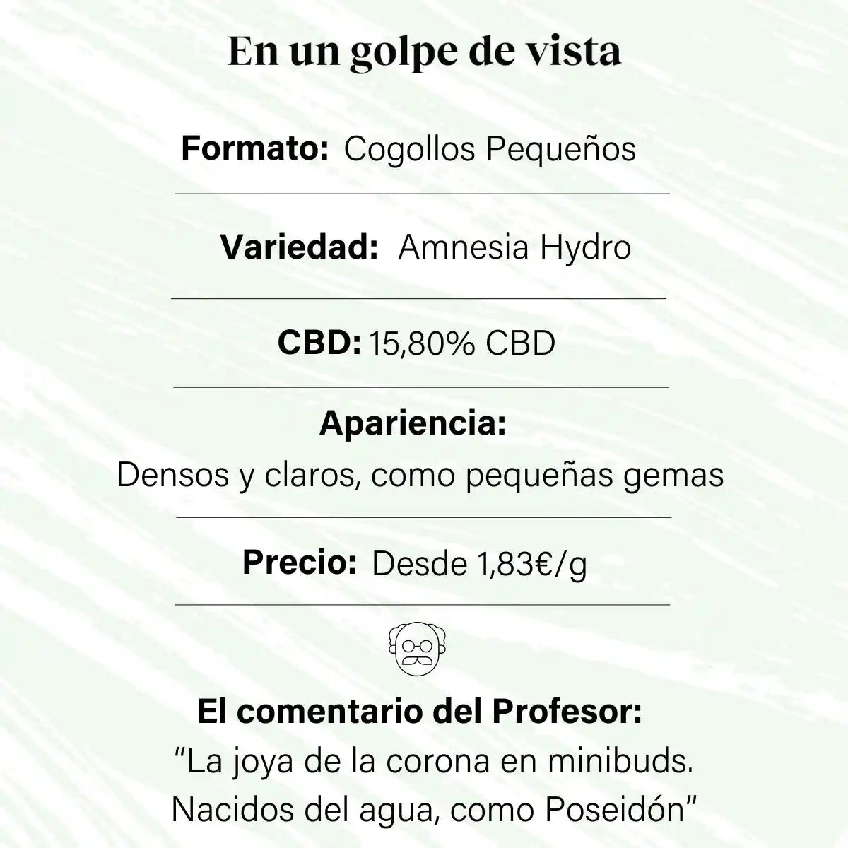 Cogollos Pequeños de Flor Aromática de CBD al 15,80% - La Cordobesa Amnesia Hydro