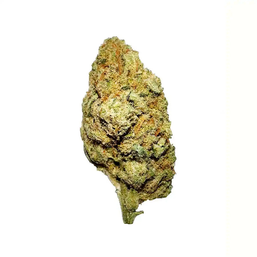 Cogollos Pequeños de Flor Aromática de CBD al 15,80% - La Cordobesa Amnesia Hydroponic