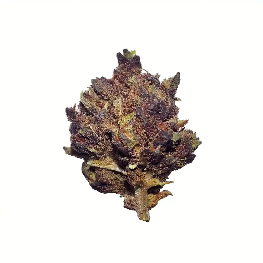 Pequenos botões de flor aromática CBD 2,17% - La Cordobesa Black Panther