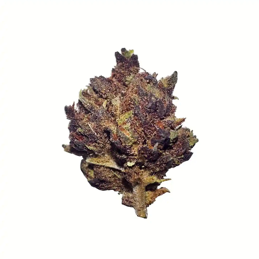 Cogollos Pequeños de Flor Aromática de CBD al 2,17%- La Cordobesa Black Panther