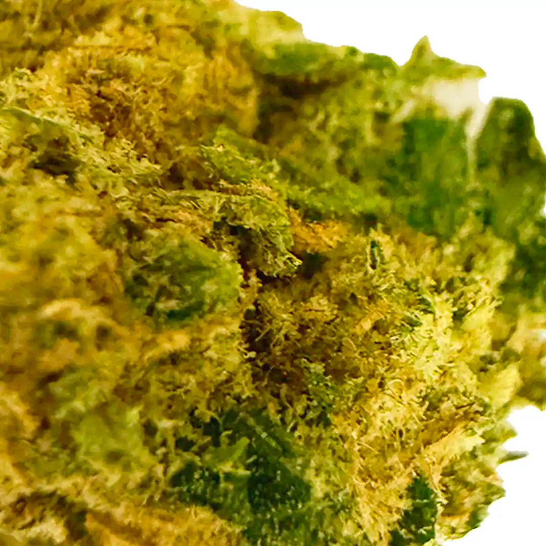 Cogollos Pequeños de Flor Aromática de CBD al 5,75%- La Cordobesa Blueberry