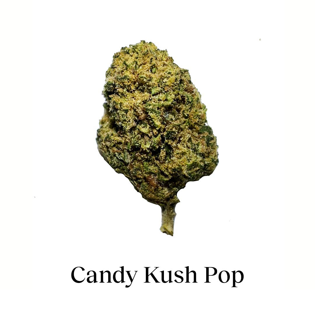 Packung 90g Small Buds Variety Genetics - Taste Everything Plus