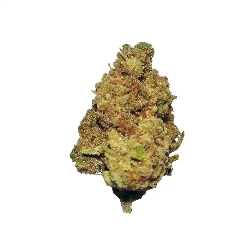 Pequenos botões de 16,45% CBD Aromatic Flower - La Cordobesa Cheese OG