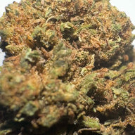 Cogollos Pequeños de Flor Aromática de CBD al 12,39% - La Cordobesa Cookie Diesel