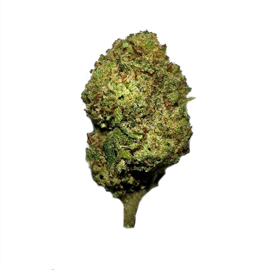 Pacote 90g Small Buds Premium Variety Genetics - Green Super Green