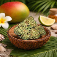 Pequenos botões de 12,57% CBD Aromatic Flower - La Cordobesa Mango Haze