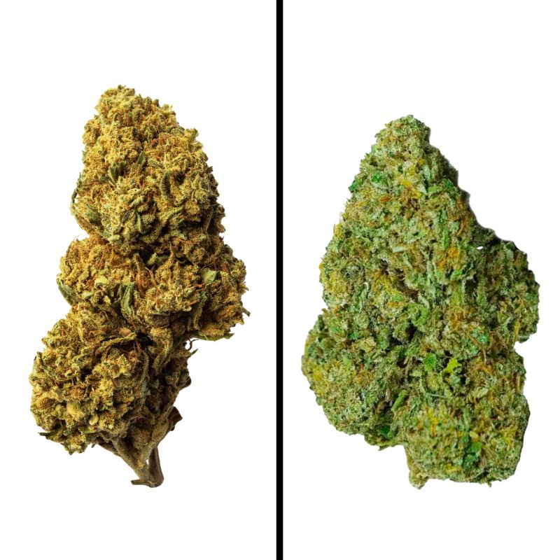 6g de Flor Dúo de Genéticas - 1g de La Cordobesa Raspberry Indoor + 5g La Cordobesa Atleta