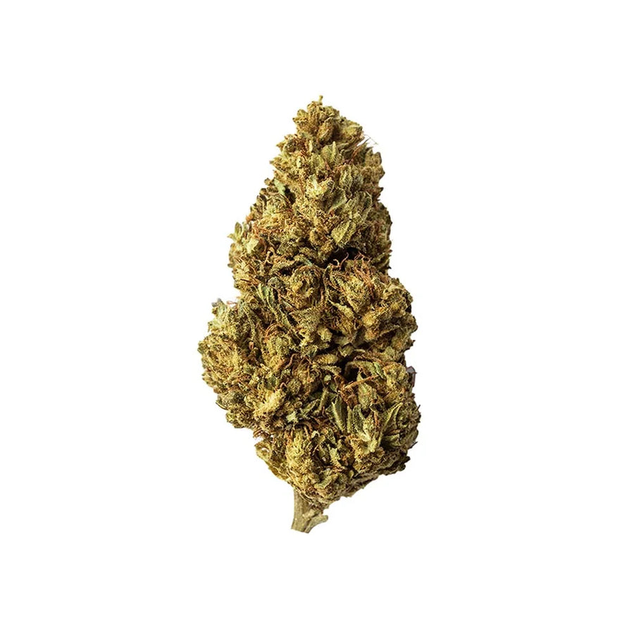 CBD Aromatic Flower Bud at 5.17% La Cordobesa Colchonera