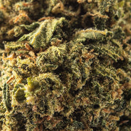 Cogollo de Flor Aromática de CBD Indoor al 22,20% · La Cordobesa Amnesia Haze ·