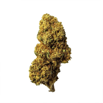 Cogollo de Flor Aromática de CBD al 15,17% · La Cordobesa Atleta