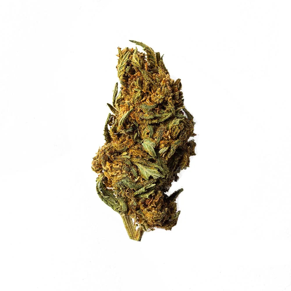 CBD Aromatic Flower Bud at 16.49% La Cordobesa Tradicional