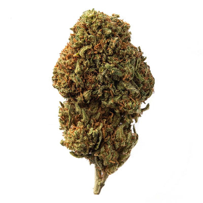 Cogollo de Flor Aromática de CBD al 16,30% · La Cordobesa Vikinga