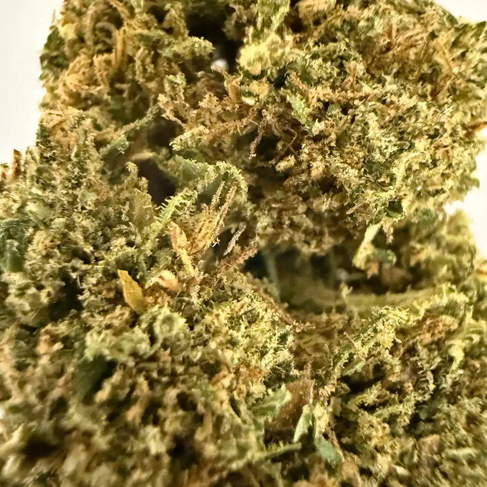 Cogollos Pequeños de Flor Aromática de CBD al - La Cordobesa Critical Kush