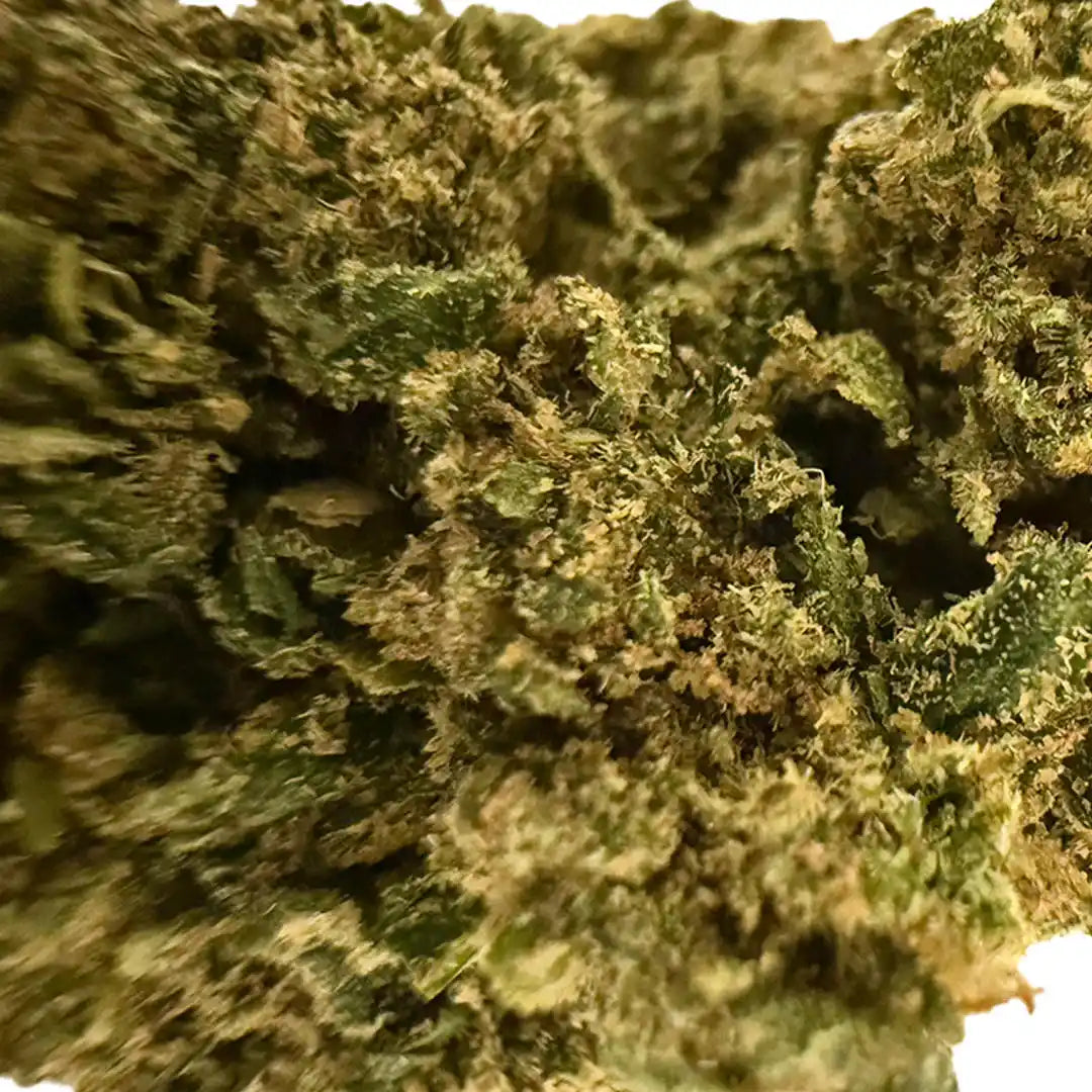 Flor em botão aromático CBD interno a 18,81% · La Cordobesa Candy Kush