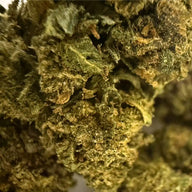 CBD Aromatic Flower Bud at 14.12% La Cordobesa Culé