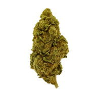 CBD Aromatische Blütenknospe 4,23% La Cordobesa Colchonera