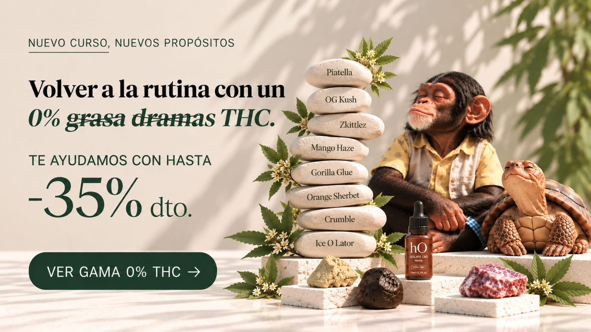Banner Desktop