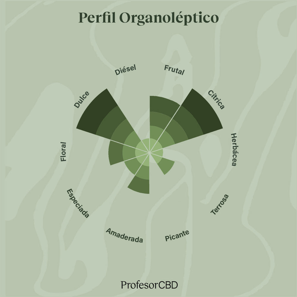 Cogollo de Flor Aromática de CBD al 11,52% · La Cordobesa Naranjita