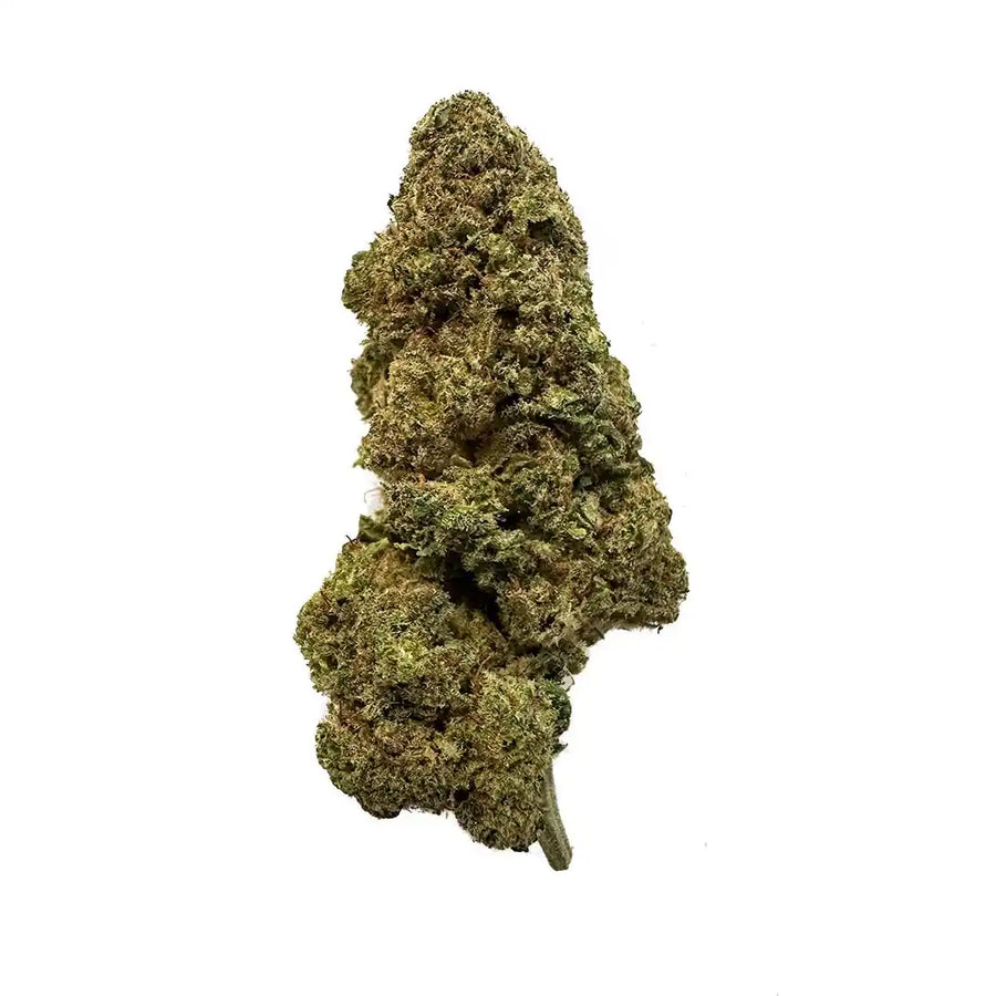 7% CBD Bourgeon de fleur aromatique La Cordobesa Christmas California Haze