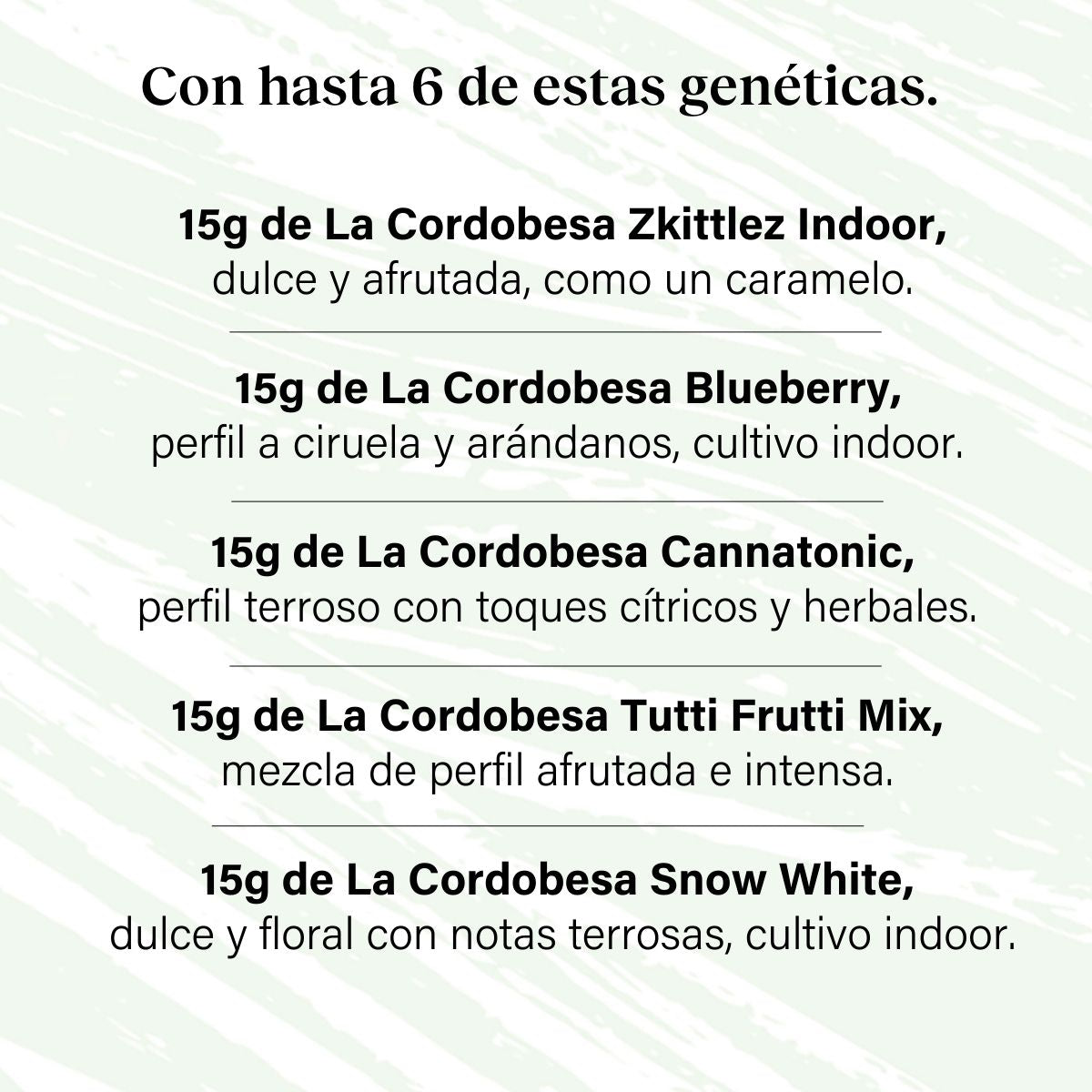 Packung 90g Small Buds Variety Genetics - Taste Everything Plus