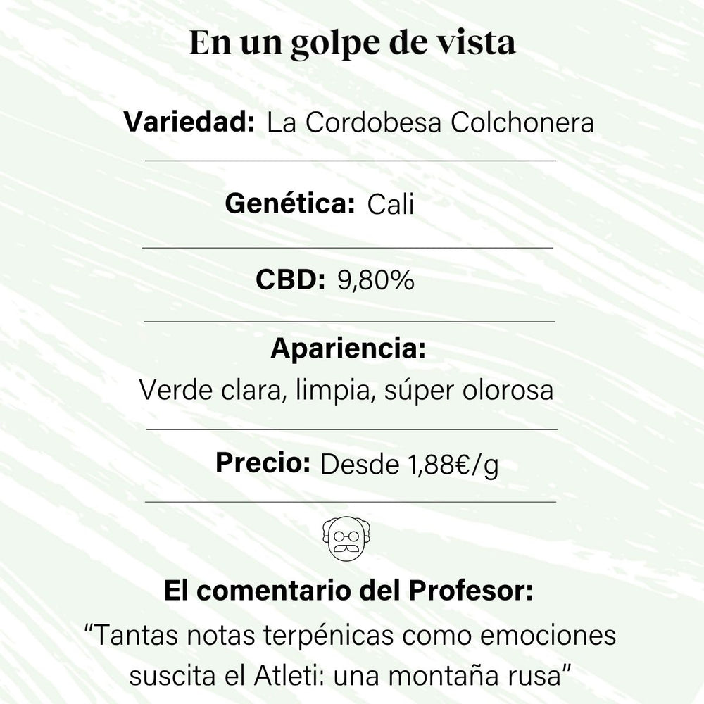 Cogollo de Flor Aromática de CBD al 9,80% · La Cordobesa Colchonera