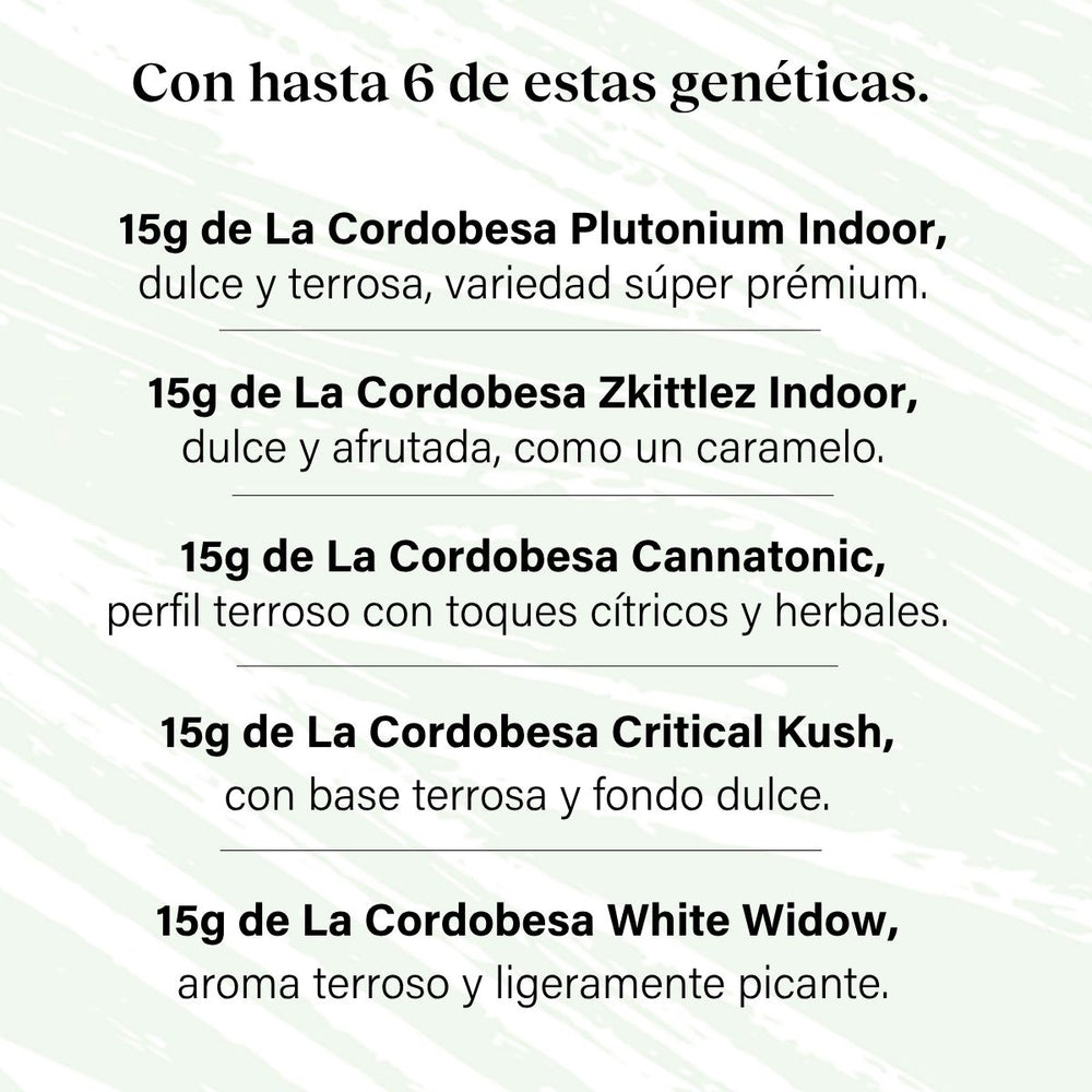 Pack 90g Cogollos Pequeños Genéticas Variadas Prémium - Verde Súper Verde