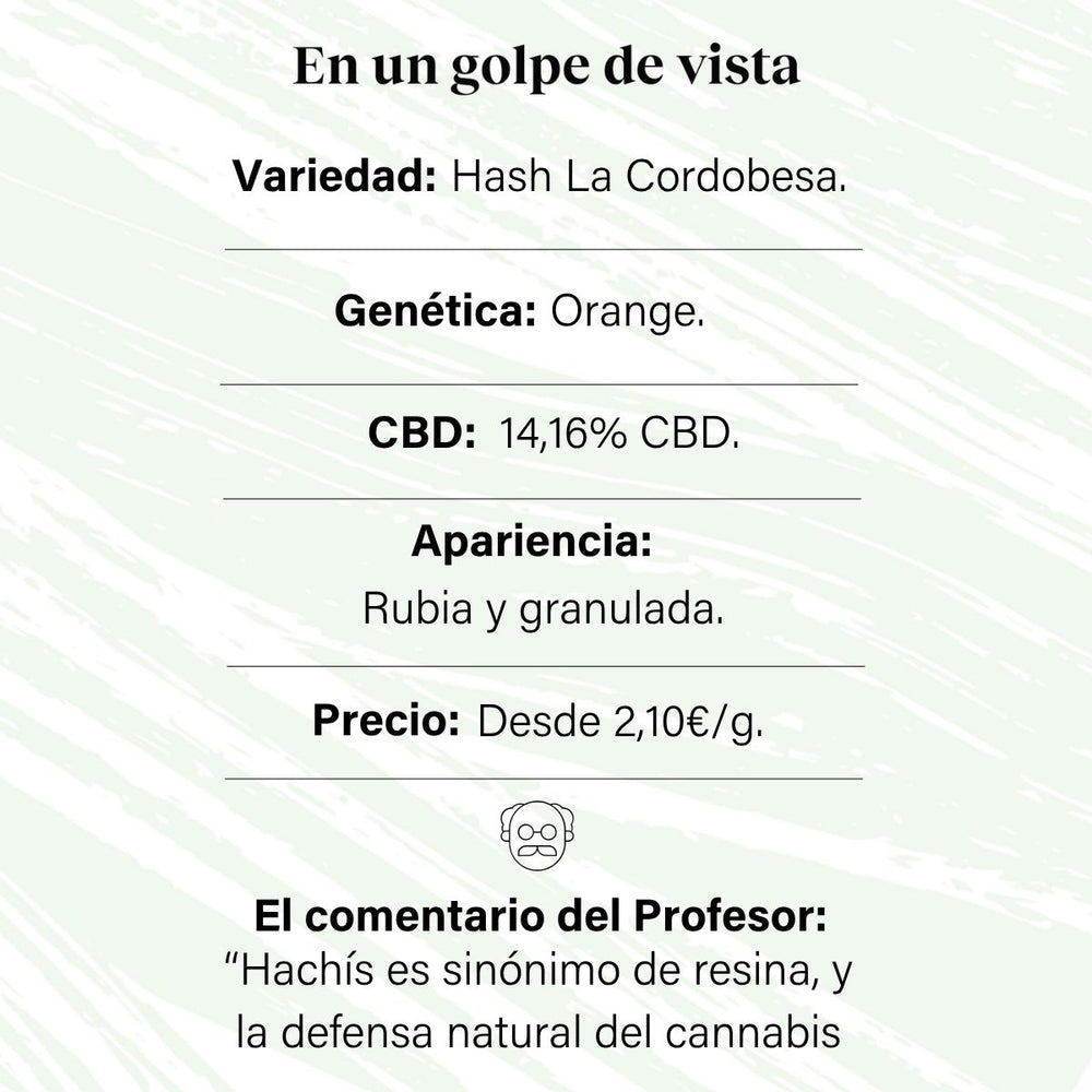 Hash de cânhamo aromático com 16,08% CBD Hash La Cordobesa