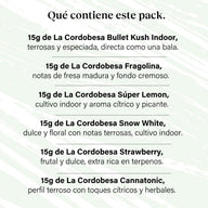 Pacote 90g Small Buds Variedade Genética - Try Everything Plus