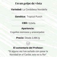 7% CBD Flor em botão aromático · La Cordobesa Navideña California Haze