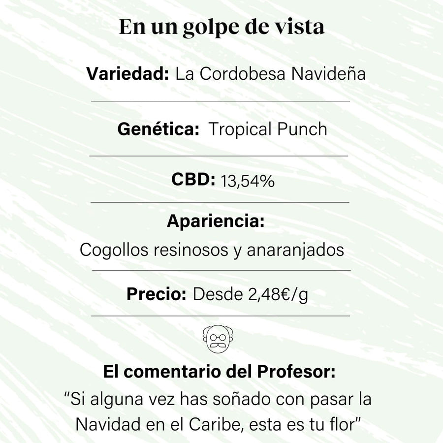 7% CBD Bourgeon de fleur aromatique La Cordobesa Christmas California Haze