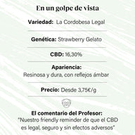 Cogollo de Flor Aromática de CBD al 16,30% · La Cordobesa Legal · CL13