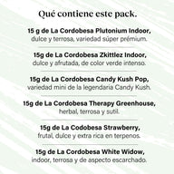 Pacote 90g Small Buds Variedade Genética - Try Everything Plus