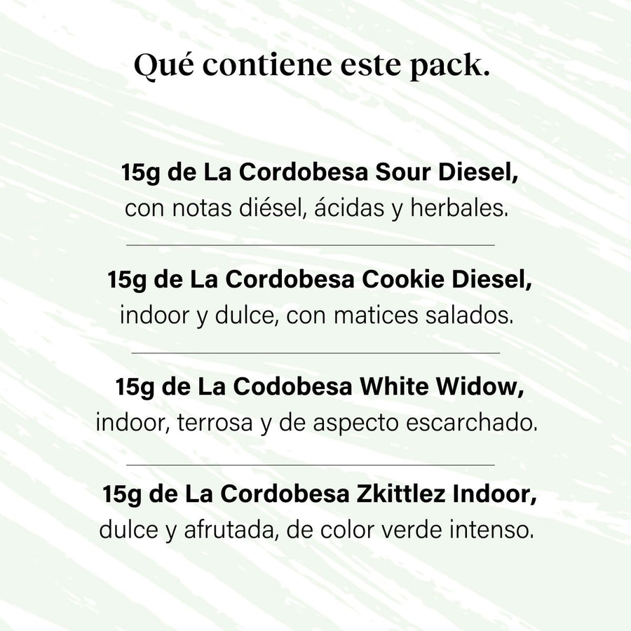 Pack 60g Small Buds Goût de tout - Variété génétique