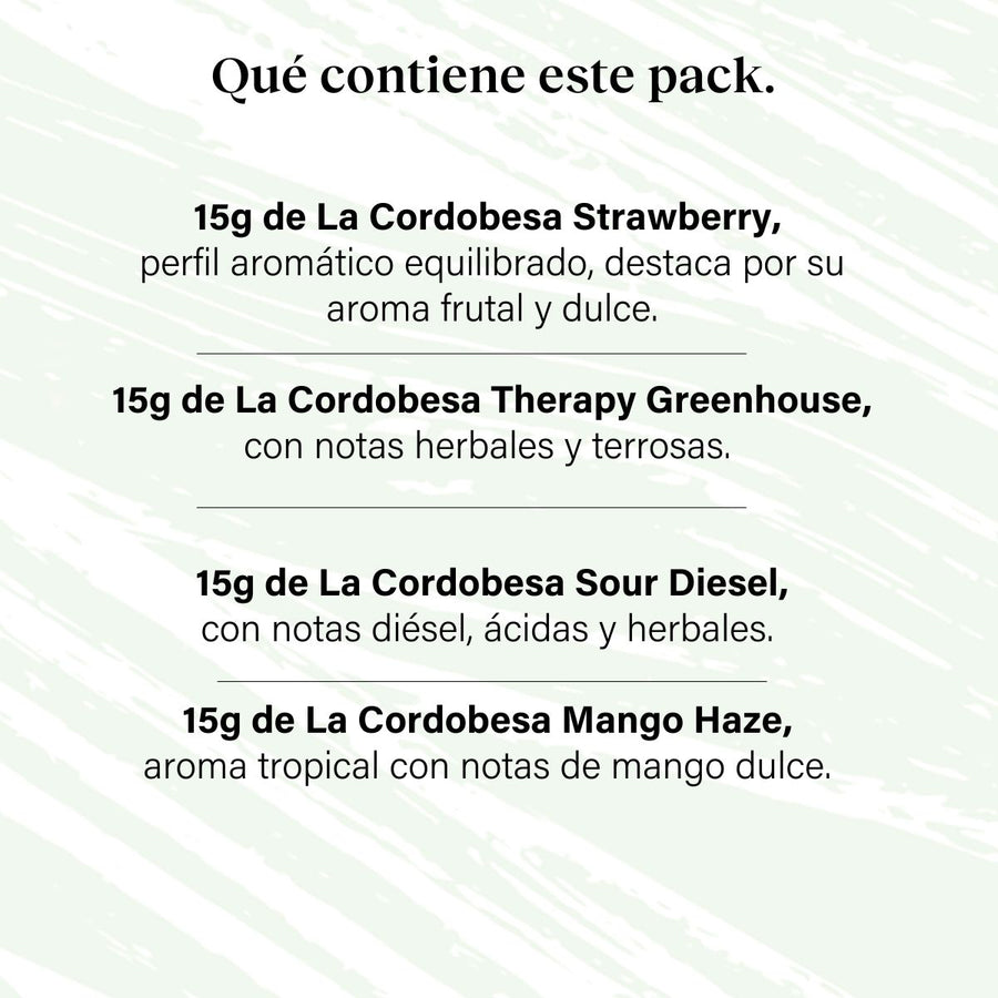 Packung 60g Small Buds Taste Everything - Vielfalt Genetik