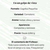 Cogollos Pequeños de Flor Aromática de CBD - La Cordobesa Cannatonic