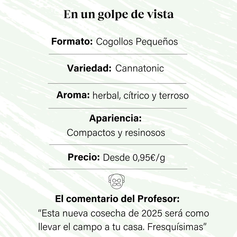 Cogollos Pequeños de Flor Aromática de CBD - La Cordobesa Cannatonic