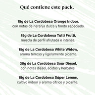 Pacote 90g Small Buds Variedade Genética - Try Everything Plus