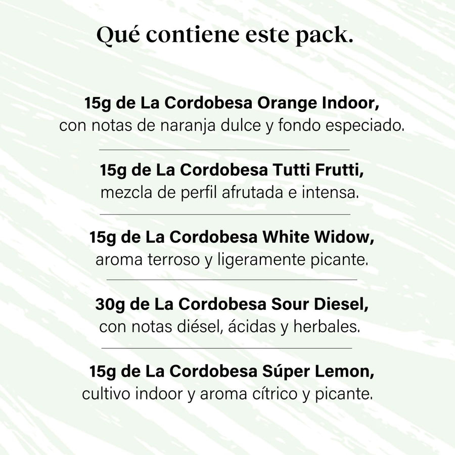 Pack 90g Cogollos Pequeños Genéticas Variadas - Pruébalo Todo Plus