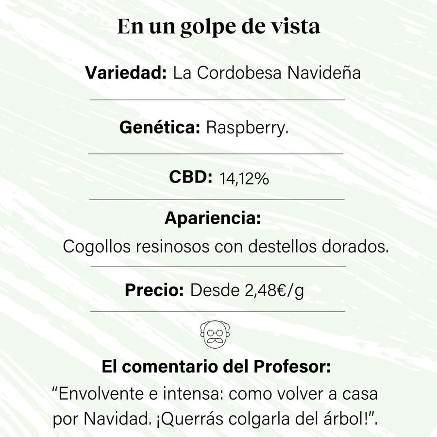 7% CBD Aromatische Blütenknospe La Cordobesa Christmas California Haze