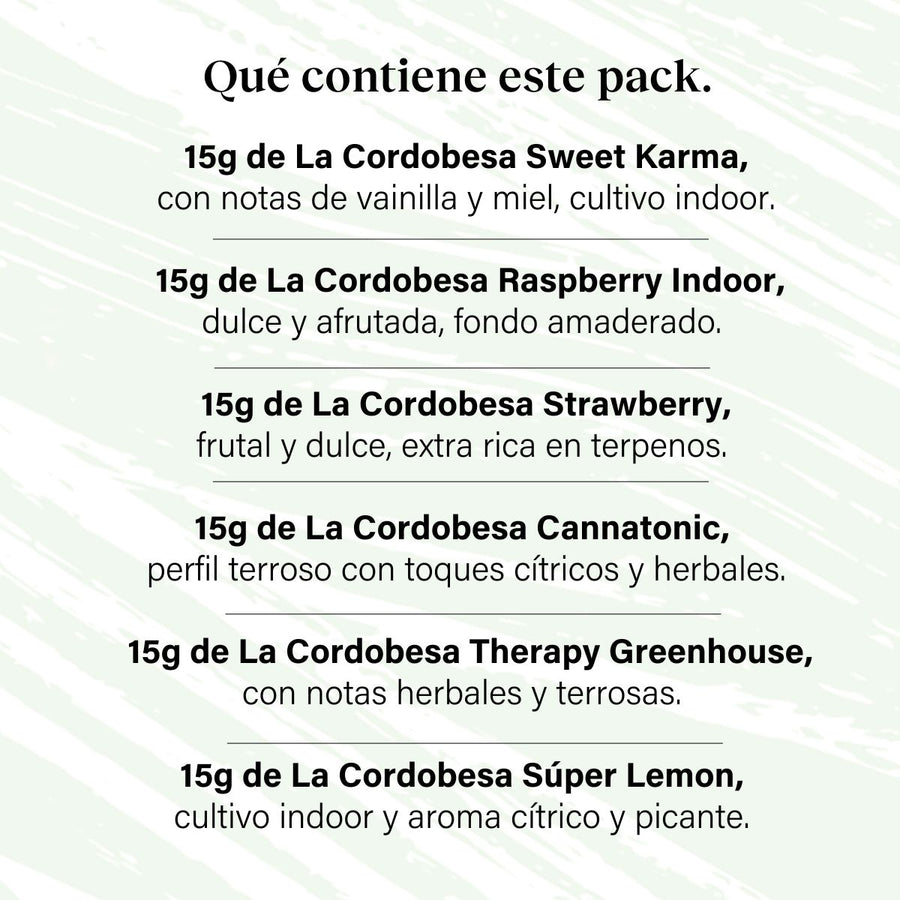 Confezione 90g di gemme piccole Genetica mista - Prova tutto Plus